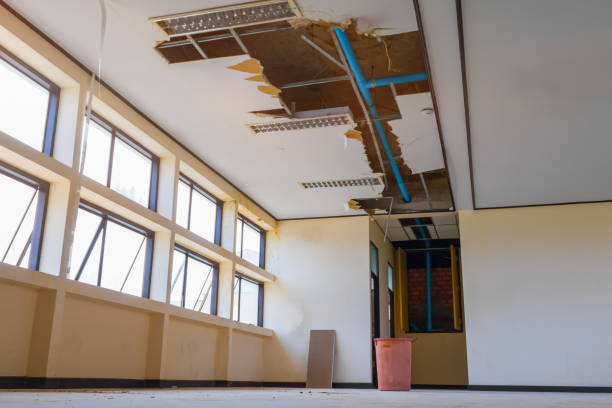 Best Basement water damage restoration  in West Ishpeng, MI