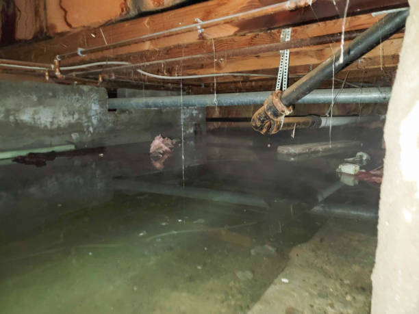 Best Water damage restoration near me  in West Ishpeng, MI