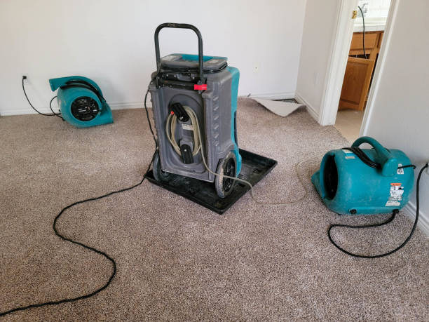 Best Sewage cleanup and water damage restoration  in West Ishpeng, MI