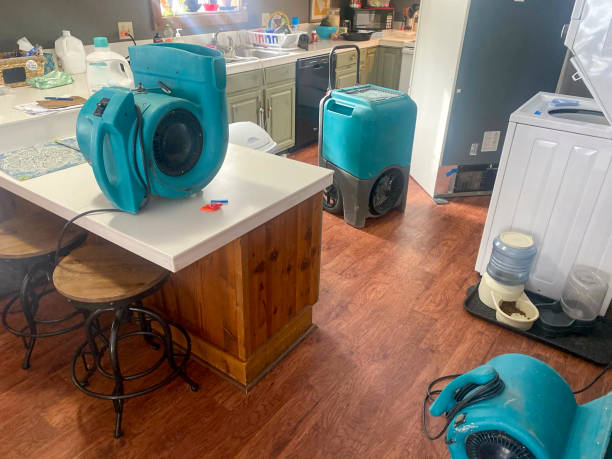 Best Ceiling water damage repair  in West Ishpeng, MI