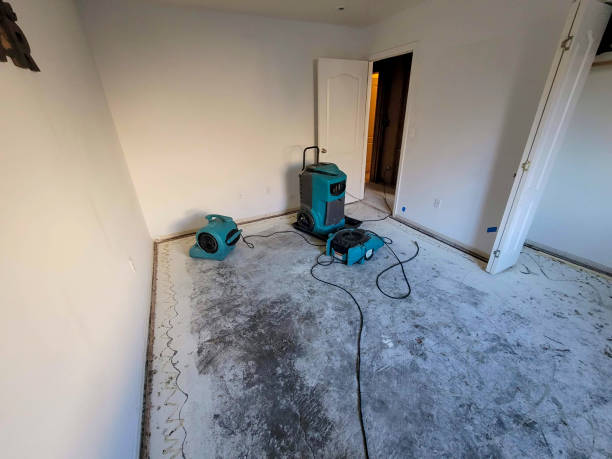  West Ishpeng, MI Water damage restoration Pros