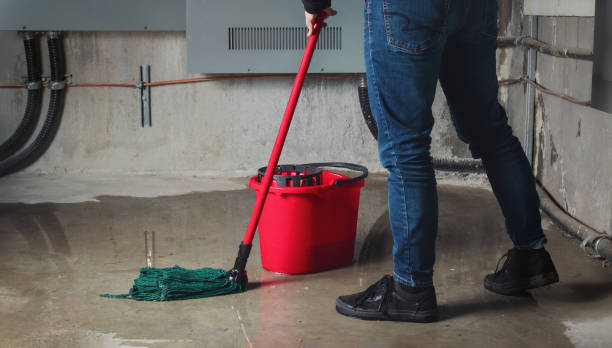 Best Carpet water damage restoration  in West Ishpeng, MI