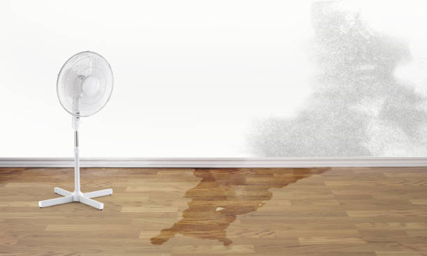 Best 24-hour water damage restoration  in West Ishpeng, MI