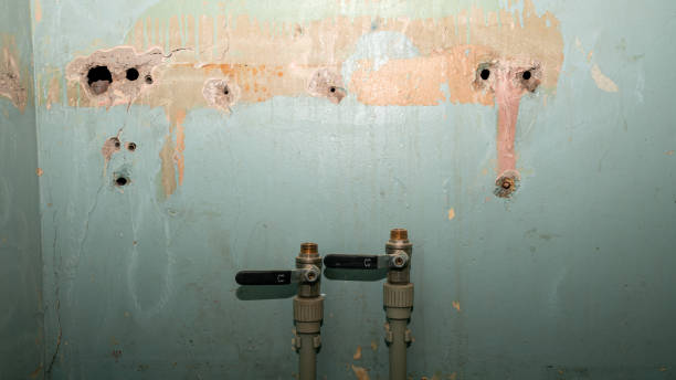 Best Mold removal after water damage  in West Ishpeng, MI