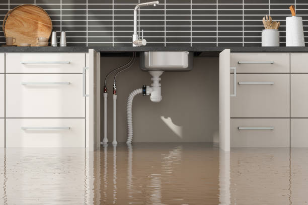 Best Local water damage restoration  in West Ishpeng, MI